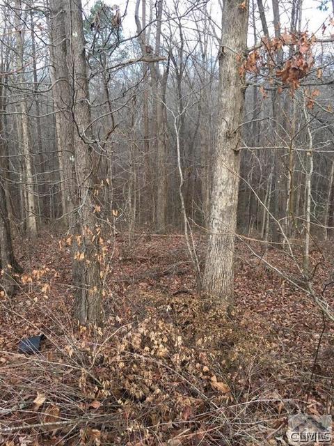 29 Lola Street #LOT 29, Colbert, GA 30628 photo 1