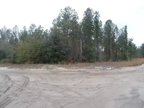 lot95 King George Way, Darien, GA 31305 photo 1