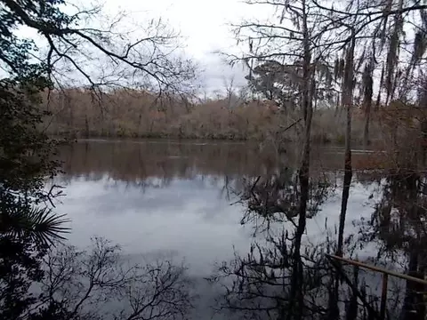 901 Stephen Park Rd, Nahunta, GA 31553 photo 1