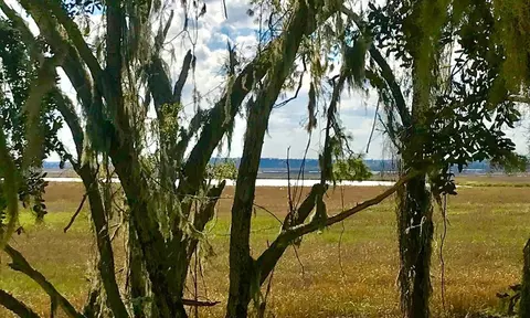 lot4 Fort King George, Darien, GA 31305