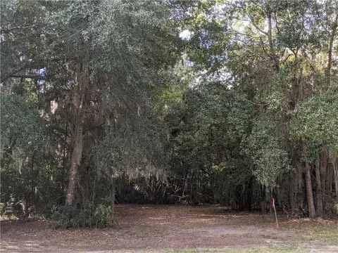 lot G E Broad St, Darien, GA 31305 photo 1
