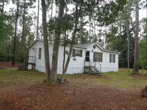 1381 NE Williamson Rd, Townsend, GA 31331 photo 1