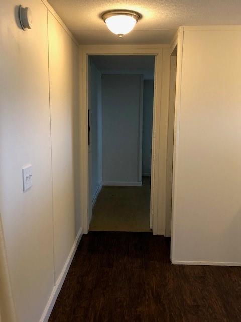Undisclosed, Townsend, GA 31331 photo 12