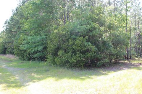 Tract 2a, Townsend, GA 31331 photo 2