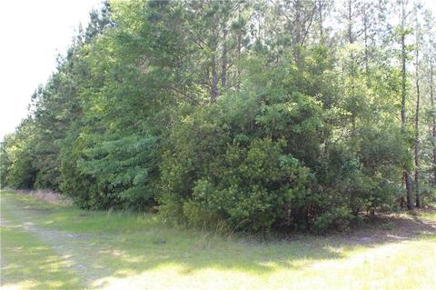 Tract 2a, Townsend, GA 31331 photo 4