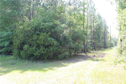 Tract 2a, Townsend, GA 31331 photo 3