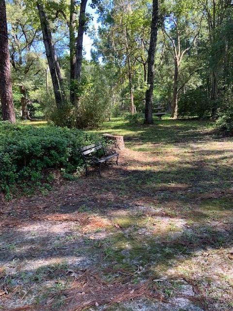 Undisclosed, Townsend, GA 31331 photo 7