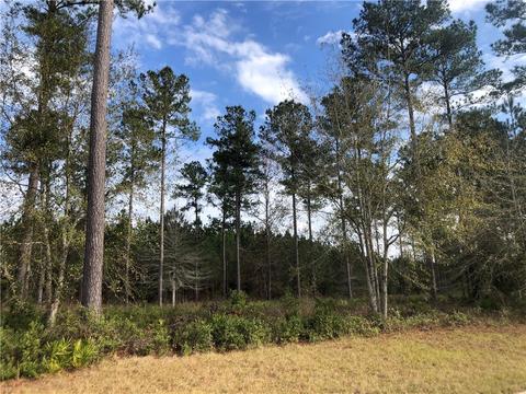 19 Windmill Palm, Brunswick, GA 31523