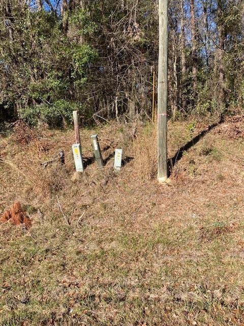 4792 Young Man Rd NE, Townsend, GA 31331 photo 1