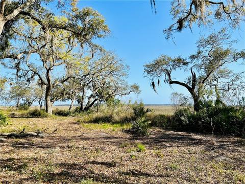 306 Coopers Point Drive Northeast, Townsend, GA 31331