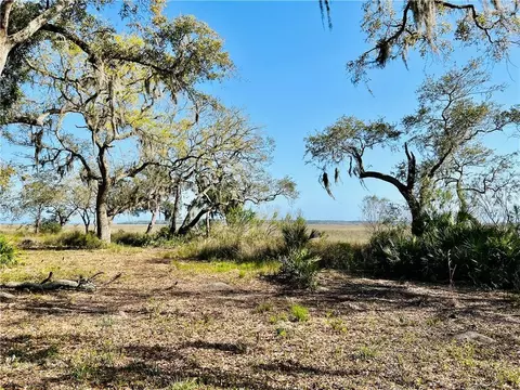 lot306 Coopers Point Dr NE, Townsend, GA 31331