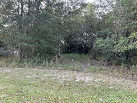 lot10 Saddle Cir, Waycross, GA 31503