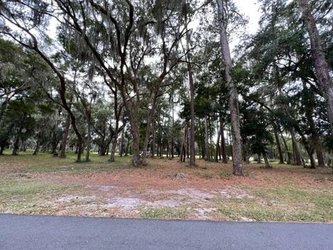 Lot 25 Sutherland Bluff Drive Ne, Townsend, GA 31331