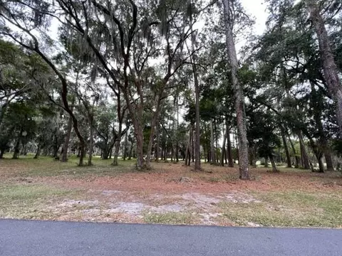 lot25 Sutherland Bluff Dr NE #25, Townsend, GA 31331