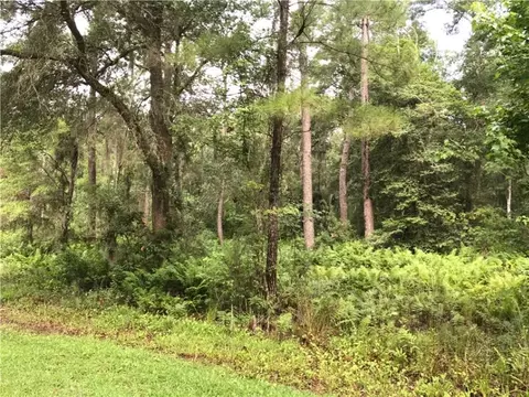 32 Carnochan Blf, Darien, GA 31305