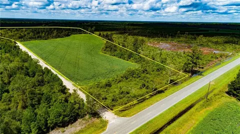 0 Blackshear Hwy Goody Rd, Surrency, GA 31563
