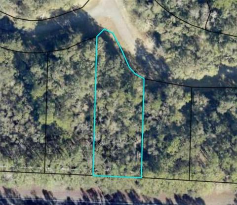 Lot A11 Sanderling Trace, Waverly, GA 31565