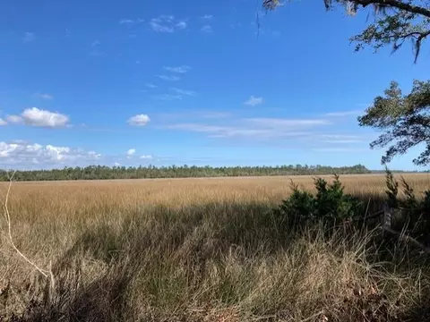 lot43 Sanderling Trce, Waverly, GA 31565