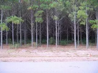 V/l 29 Tuscan Landing, Waverly, GA 31565