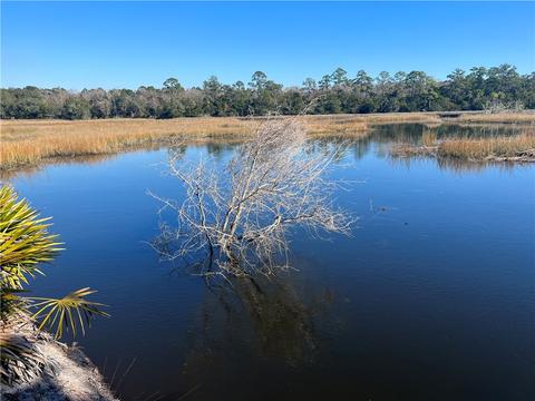 Tract 2 Lot 8 Jenkins Farm Road, Brunswick, GA 31523