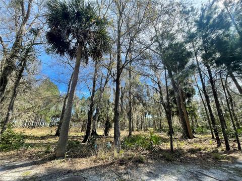 0 Fairway Oaks, Waverly, GA 31565