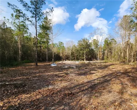 2976 Clarks Bluff Rd, Kingsland, GA 31548