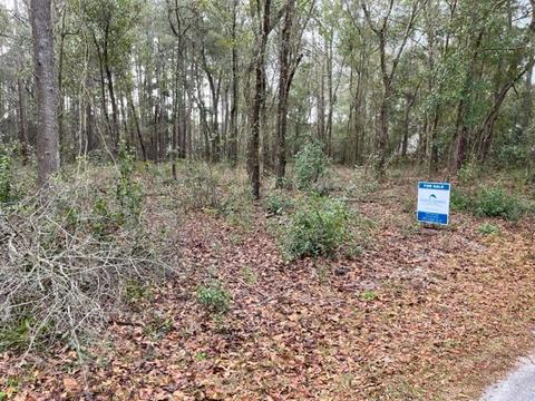 Lot 16 Meadow Lane Drive, Darien, GA 31305