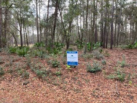 Lot 18 Meadow Lane Drive, Darien, GA 31305