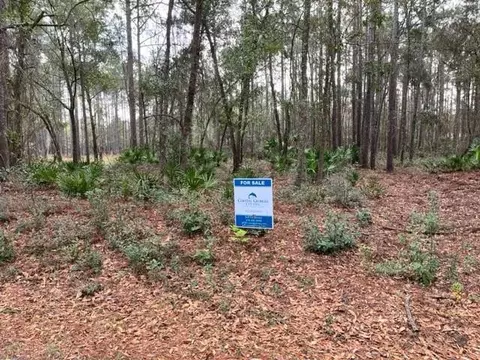 lot18 Meadow Lane Dr, Darien, GA 31305
