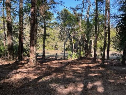 V/l 37 River Marsh Boulevard, Waverly, GA 31565