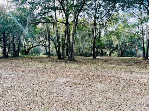 Lot 241 Coopers Landing Drive, Shellman Bluff, GA 31331