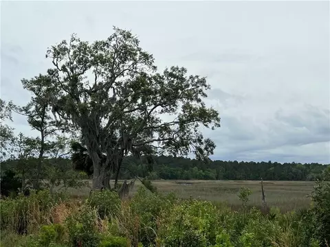 223 Refuge Way, Townsend, GA 31331