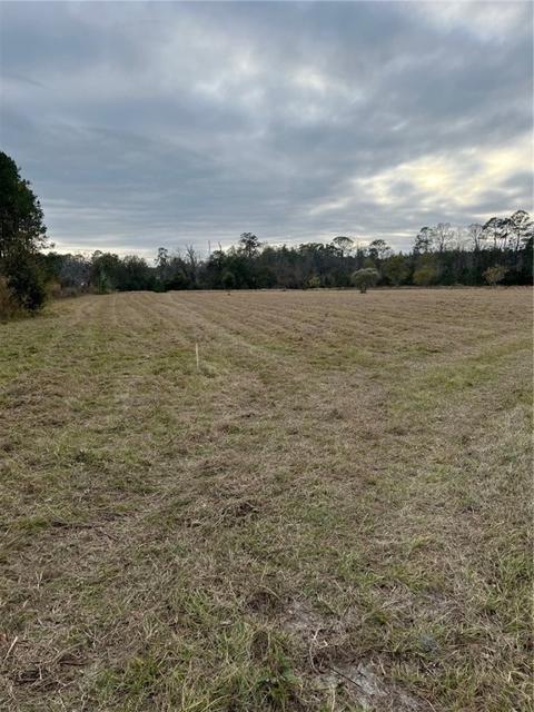 0 Gus Aldridge Ln, Waycross, GA 31503