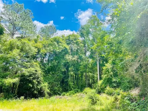 0 Mills Ln, Kingsland, GA 31548