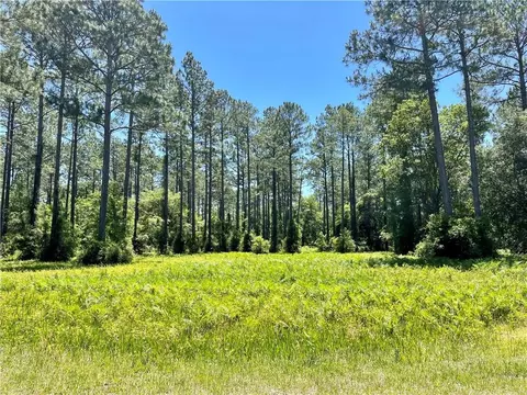 lot553 Woodstork Dr, Townsend, GA 31331