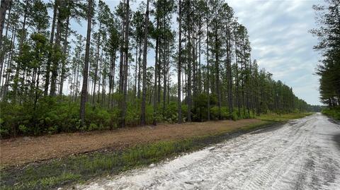 0 Red Bird Dr, Other, GA 31552