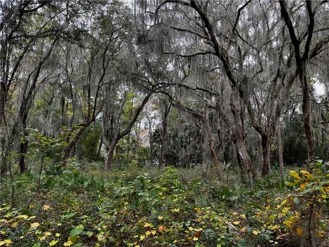 Lot 21 Doboy Court, Darien, GA 31305