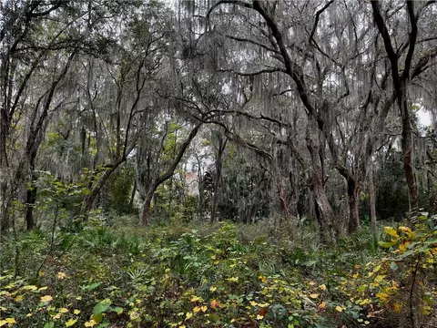 lot21 Doboy Ct, Darien, GA 31305