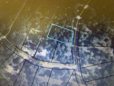Lot 260 Coopers Point Drive, Shellman Bluff, GA 31331
