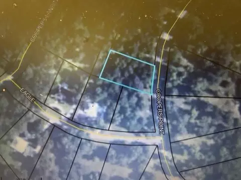 lot260 Coopers Point Dr, Shellman Bluff, GA 31331
