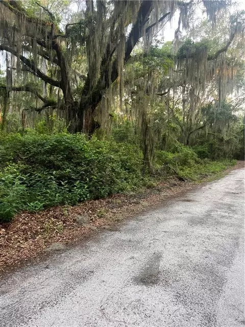 9 Acres Scott Hill Rd, Townsend, GA 31331