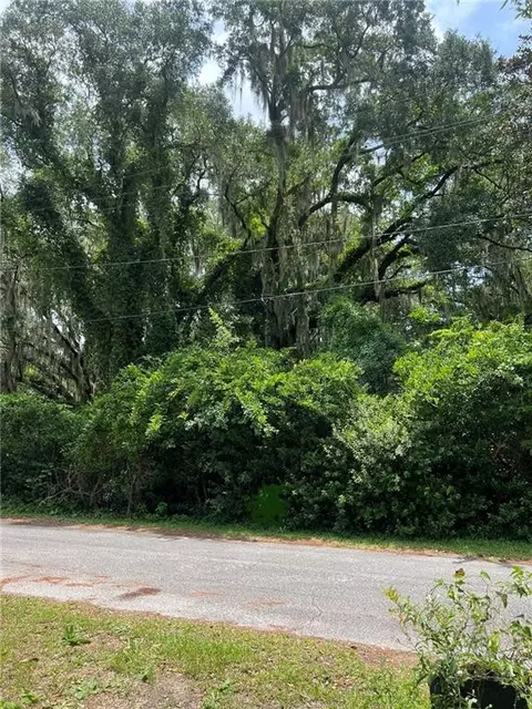 lot7 Mentionville Rd, Darien, GA 31331