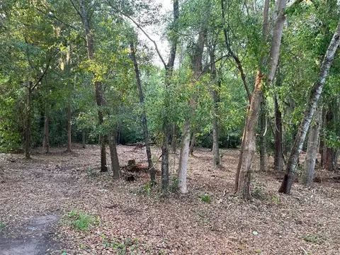 806 Ridge Rd, Darien, GA 31305