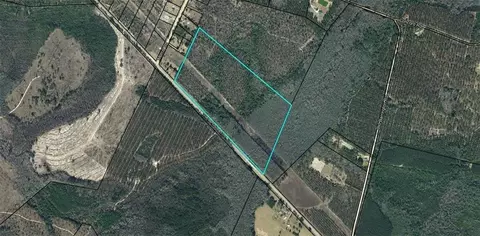 62 25ac Hwy 57 Hwy, Ludowici, GA 31316