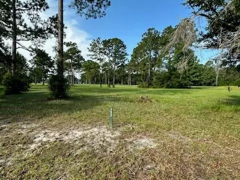 lot122 Sapelo Park, Townsend, GA 31331