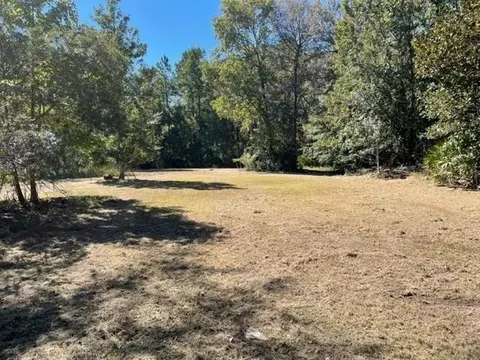 lot S 575859 Floyd Dr NE, Townsend, GA 31331