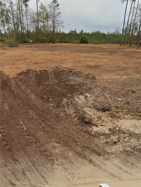 2141 Albert Gibson Rd, Hortense, GA 31543