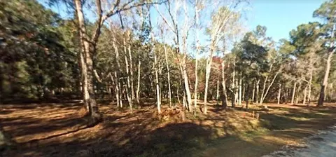 33 Carnochan Blf, Darien, GA 31305