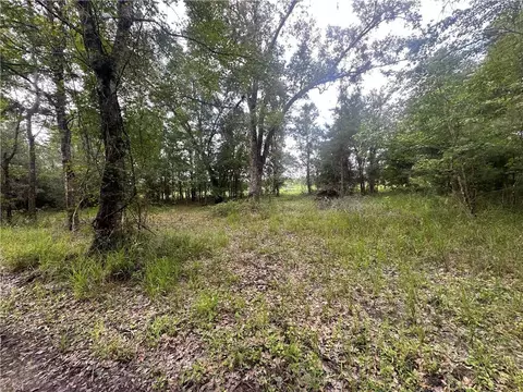 V/l Tract 15 V/l Tract 15 West Side Of Oakwell Rd Trail, Kingsland, GA 31548