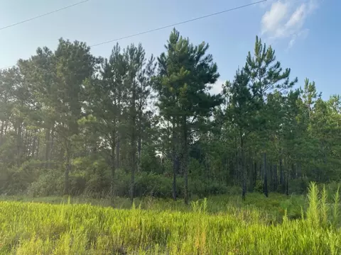 Lot 36 Crescent Farms Road, Townsend, GA 31331